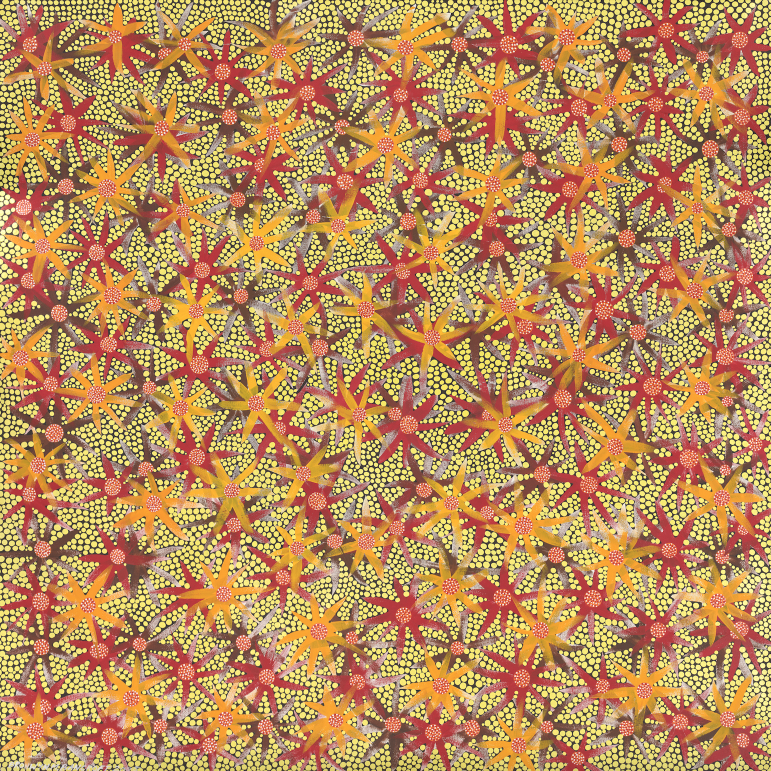 Artwork: Baabinje’s Flowers 1 by Bronwyn Bancroft