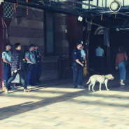 police at train station with dog