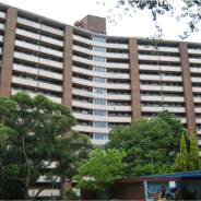 a high rise housing block with trees in front of it