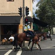 Two police officers riding horses on road outside a cafe