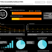 RLC Police Accountability Dashboard